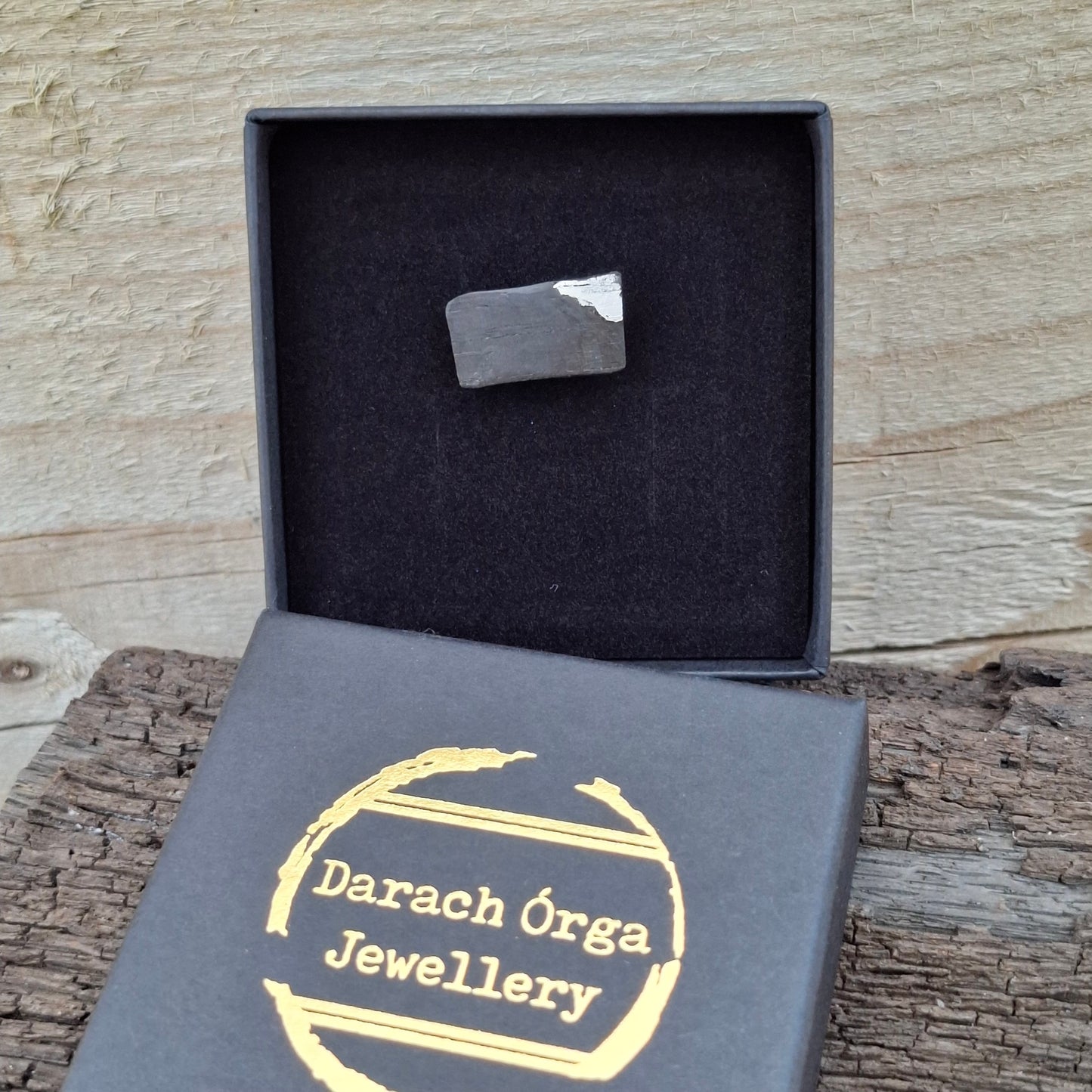 Tawin - Irish bog oak brooch with silver leaf