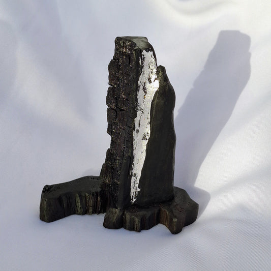 Fothrach - ruin - Handcrafted Bog Oak sculpture from Galway