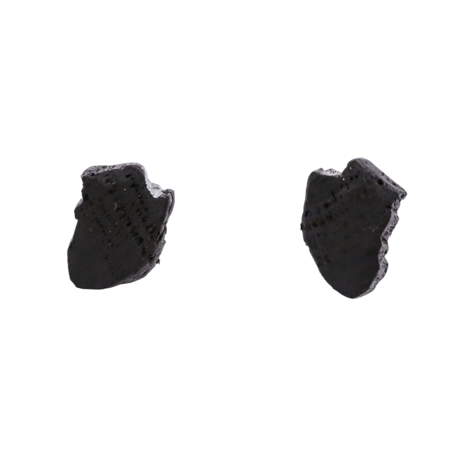 Nessa - Irish bog oak stud earrings