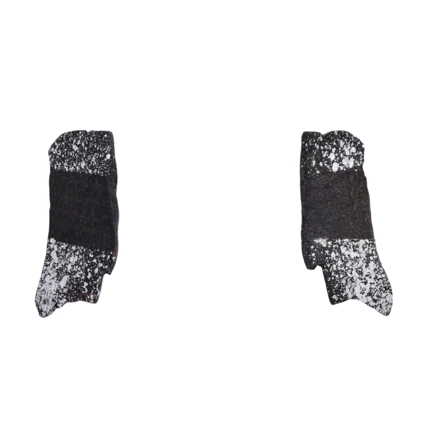 Darcey - Irish bog oak stud earrings