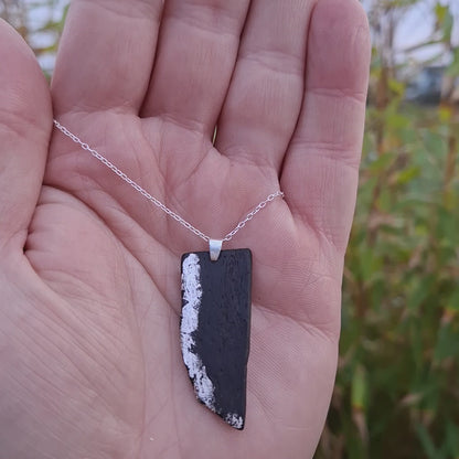 lann lonrach - Chêne des tourbières irlandais à fines feuilles d'argent
