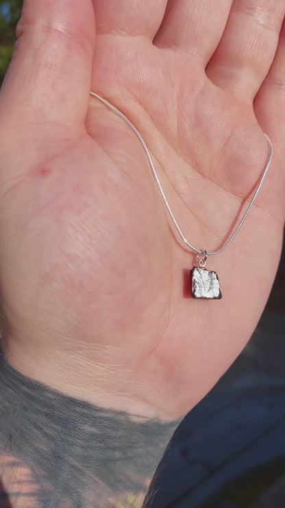 Aoife - Irish bog oak with fine silver leaf and sterling silver chain