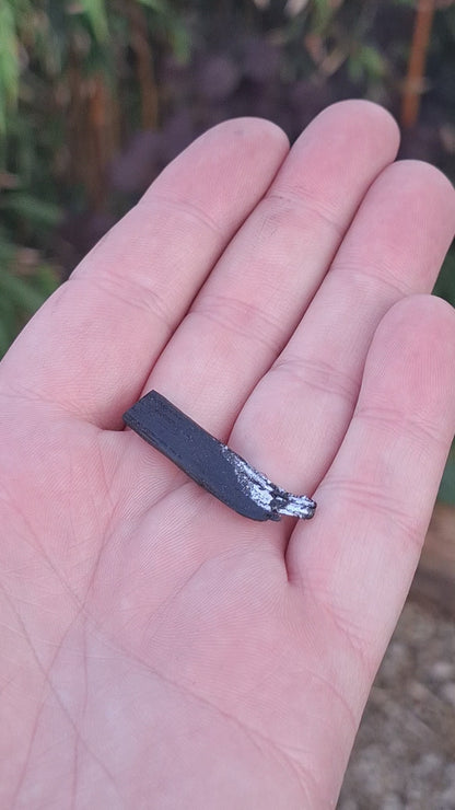 Menlo - Irish bog oak brooch with silver leaf