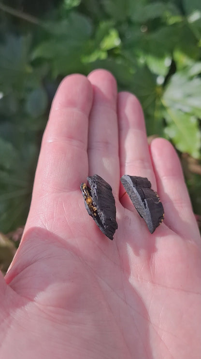 Ciara - Irish bog oak earrings with 23.75ct gold leaf