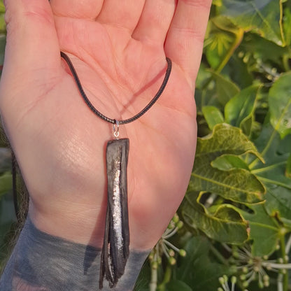 Fásach - Chêne des tourbières irlandais à fines feuilles d'argent