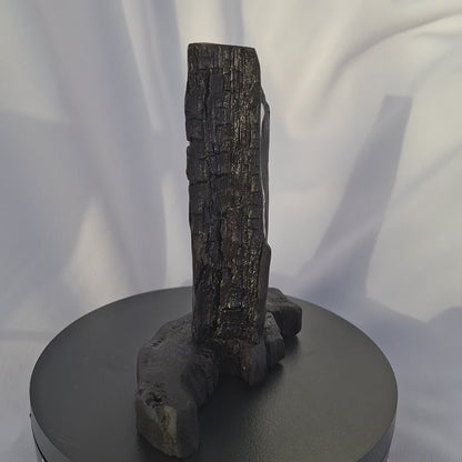 Fothrach - ruin - Handcrafted Bog Oak sculpture from Galway