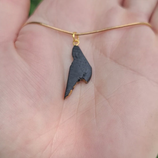 Pendant made out of irish bog oak finished with gold or silver leaf and necklace
