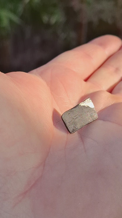 Tawin - Irish bog oak brooch with silver leaf