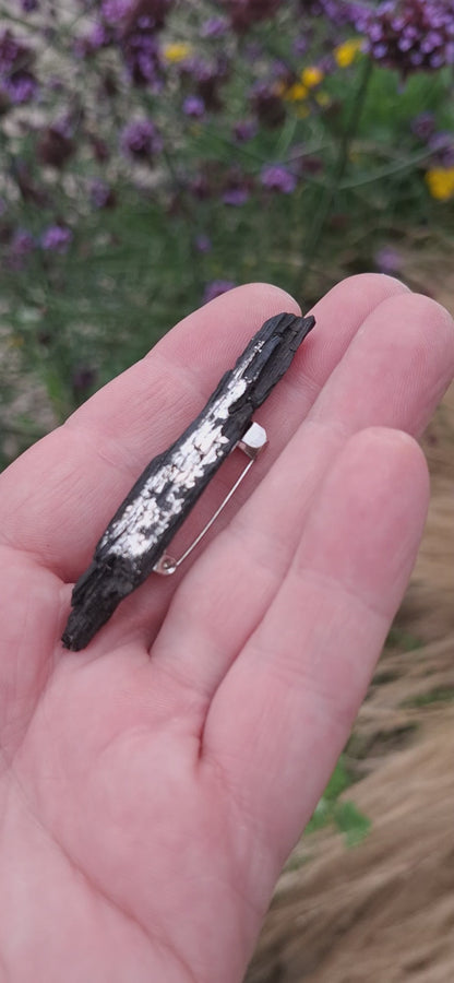 Scáil Airgid - Irish bog oak brooch