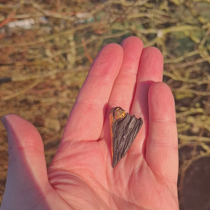 Croí - Irish bog oak brooch with 23.75kt gold leaf