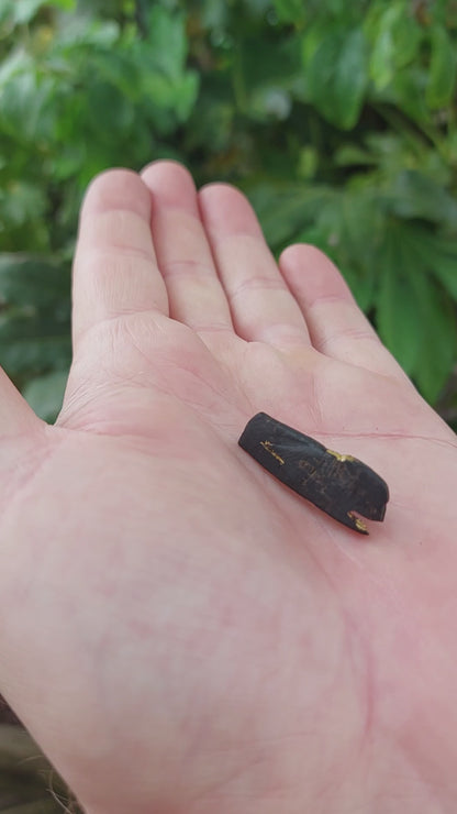 Riley - Irish bog oak brooch with 23.75ct gold leaf