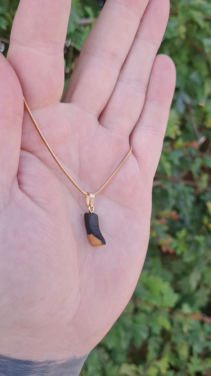 Pendant made out of irish bog oak finished with gold or silver leaf and necklace